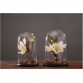 Wholesale Wood Cloche Bell Jar Flower Glass Dome Set
